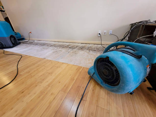 Professional Sewage Cleanup technician working in Cheraw, CO